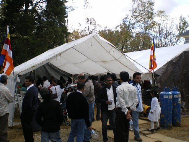 IMGP0783